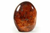 Free-Standing, Polished Carnelian Agate - Madagascar #317554-1